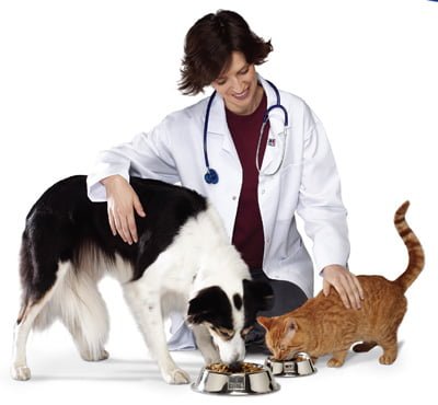 Lappe nød forfriskende Hjemmelavede godbidder til hunde af Prescription Diet