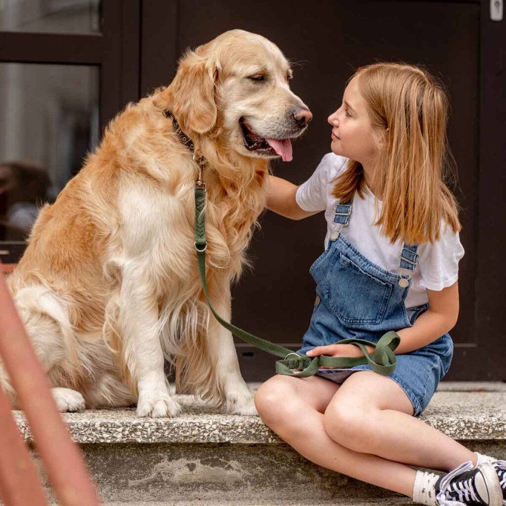 Abekopper hund til menneske