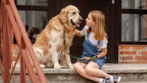 Abekopper kan potentielt smitte fra hund til menneske